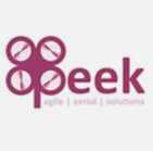 Peek Drones Logo, Thermal Savings UK